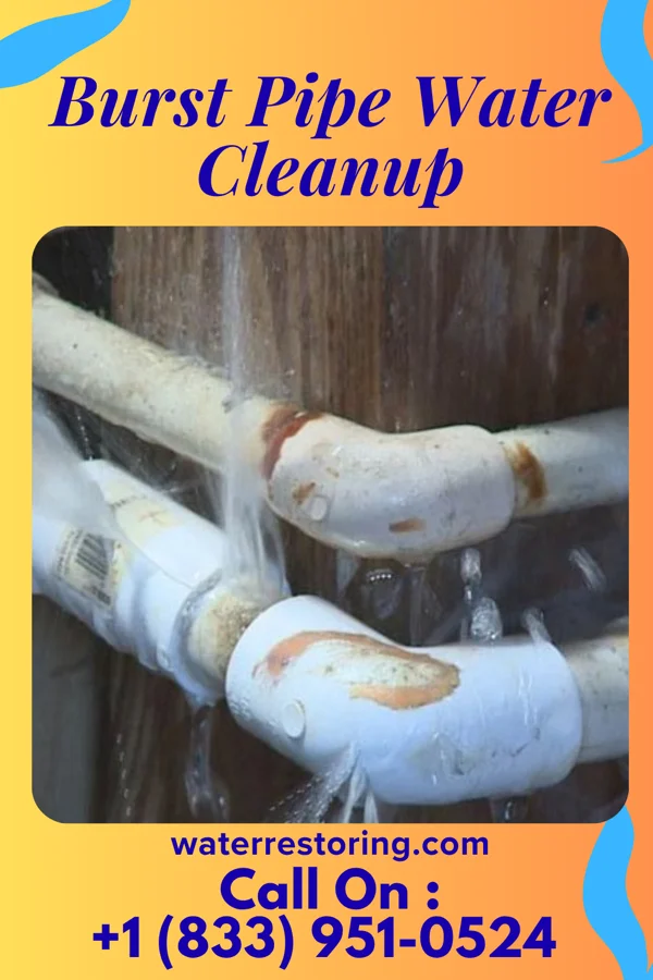 Burst Pipe Water Cleanup in Black Jack, MO