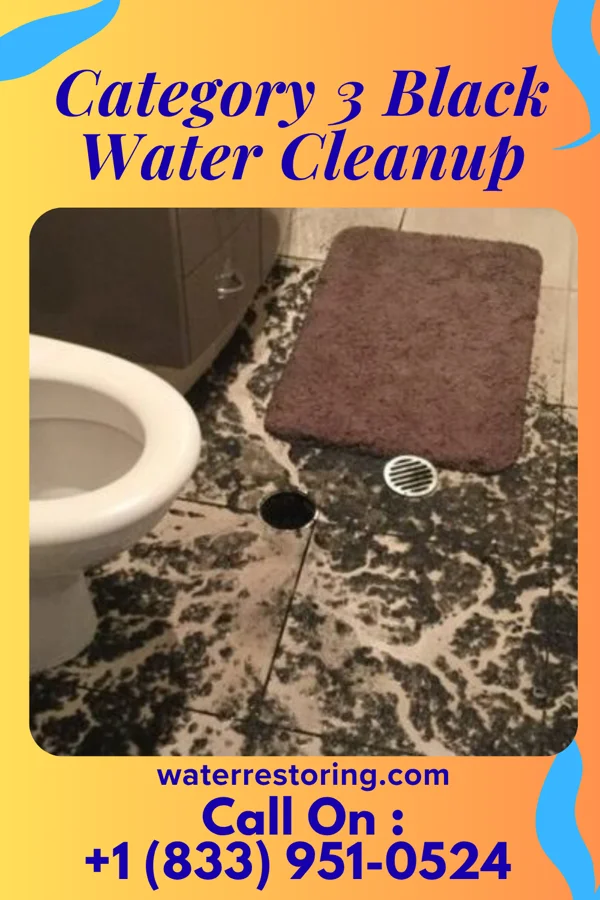 Category 3 Black Water Cleanup in Black Jack, MO