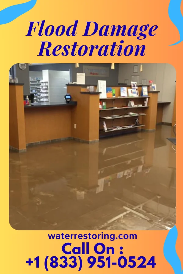 Flood Damage Restoration in Black Jack, MO