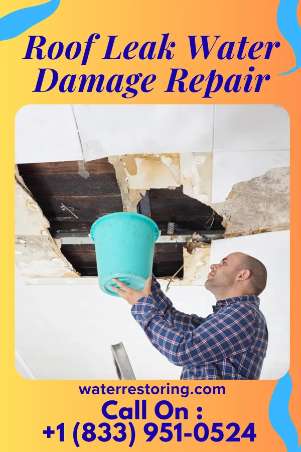 Roof Leak Water Damage Repair in Black Jack, MO