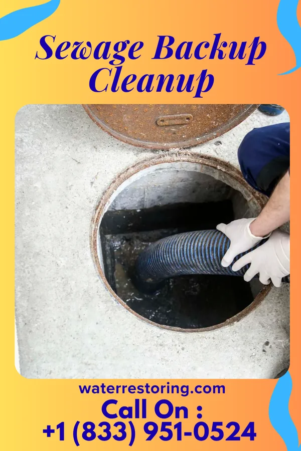 Sewage Backup Cleanup in Black Jack, MO