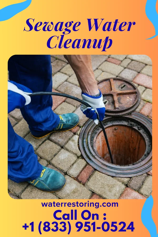 Sewage Water Cleanup in Black Jack, MO