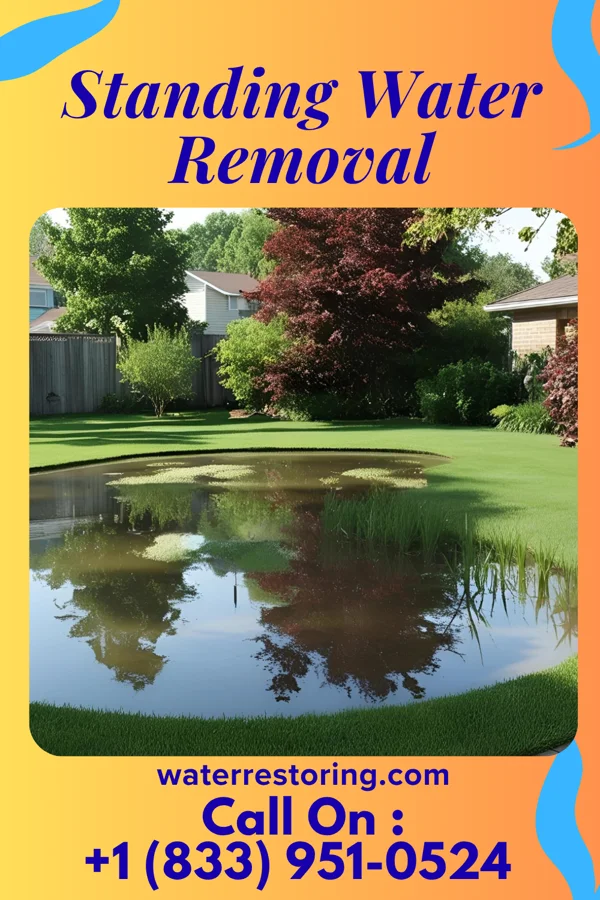Standing Water Removal in Black Jack, MO